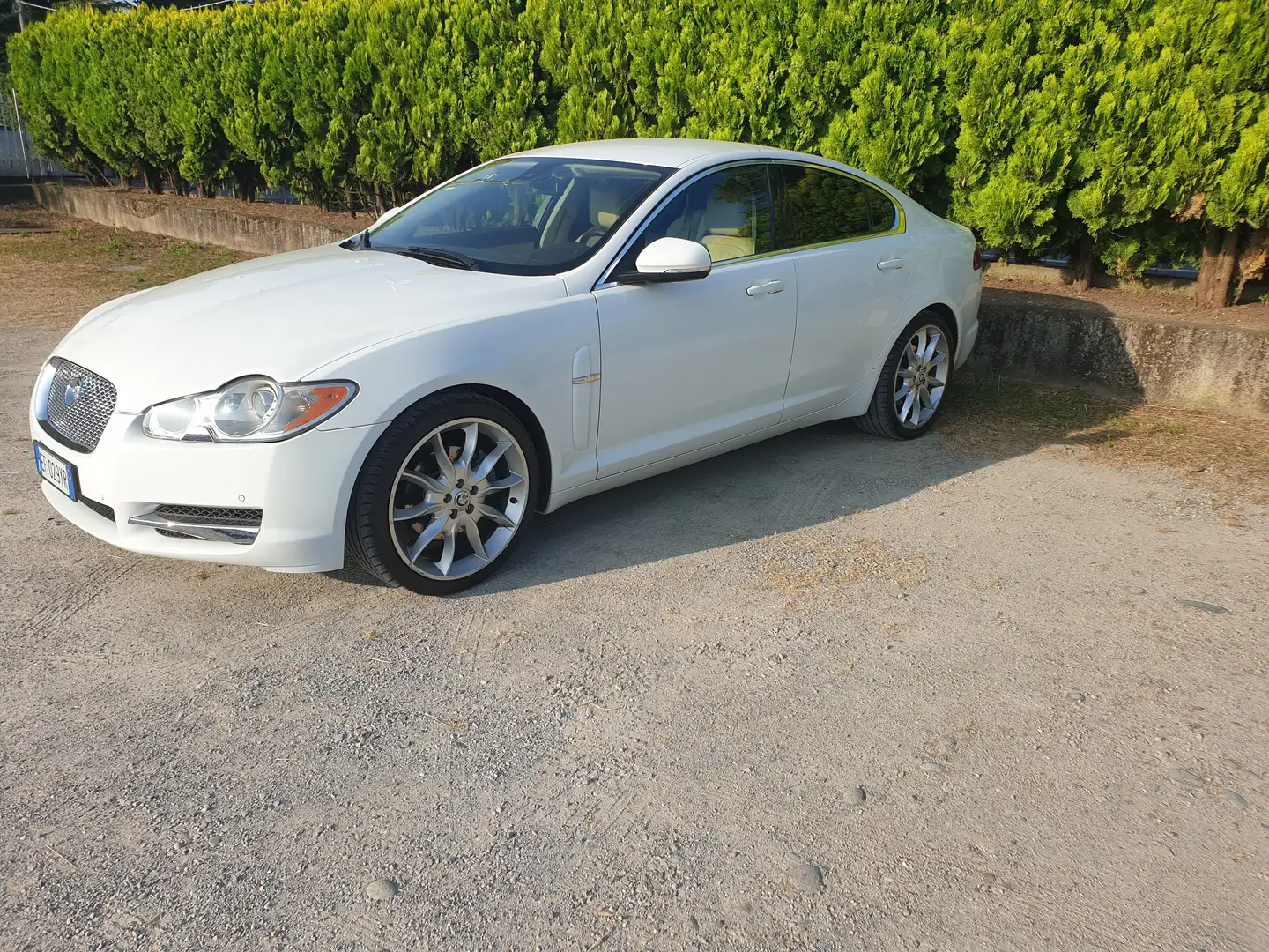 Jaguar XF XF I 2008 Berlina 3.0d V6 Luxury auto Bianco - 1