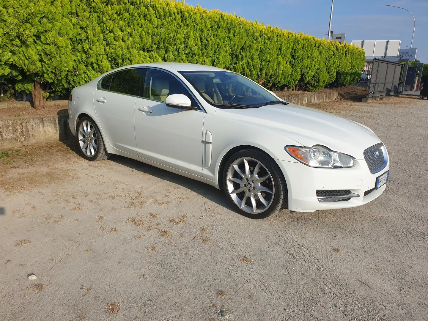 Jaguar XF XF I 2008 Berlina 3.0d V6 Luxury auto Bianco - 2