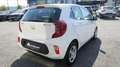 Kia Picanto 1,0 DPI ISG Titan Weiß - thumbnail 4
