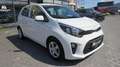 Kia Picanto 1,0 DPI ISG Titan Weiß - thumbnail 3