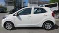 Kia Picanto 1,0 DPI ISG Titan Weiß - thumbnail 7
