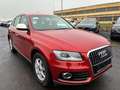 Audi Q5 2.0 TDI Xenon PDC Allwetterreifen Rot - thumbnail 3