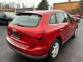 Audi Q5 2.0 TDI Xenon PDC Allwetterreifen Rot - thumbnail 5
