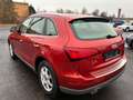 Audi Q5 2.0 TDI Xenon PDC Allwetterreifen Rot - thumbnail 6