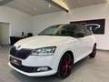 Skoda Fabia 1.0 MPI Color Concept SHZ Bluet Blanco - thumbnail 3