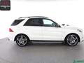 Mercedes-Benz GLE 43 AMG GLE 43 AMG 4M NIGHT DESIGNO AIRMATIC,STANDHZ,H/K Weiß - thumbnail 6