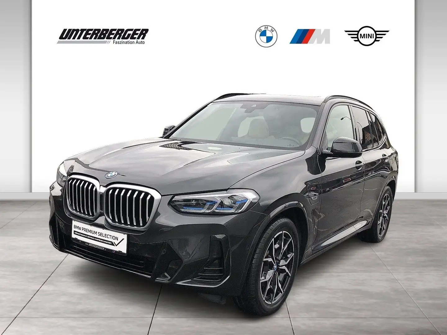 BMW X3 xDrive30e G01 Grau - 1