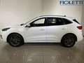 Ford Kuga 3ª SERIE 2.5 PLUG IN HYBRID 225 CV CVT 2WD ST-LINE Blanc - thumbnail 3