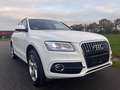 Audi Q5 2.0 TFSI 132 kW quattro S-Line-6-gang Weiß - thumbnail 2