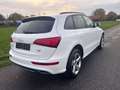 Audi Q5 2.0 TFSI 132 kW quattro S-Line-6-gang Weiß - thumbnail 8