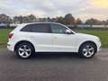 Audi Q5 2.0 TFSI 132 kW quattro S-Line-6-gang Weiß - thumbnail 9