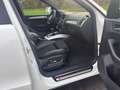 Audi Q5 2.0 TFSI 132 kW quattro S-Line-6-gang Weiß - thumbnail 14