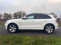 Audi Q5 2.0 TFSI 132 kW quattro S-Line-6-gang Weiß - thumbnail 5