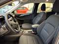 Ford Kuga Kuga 1.5 EcoBoost 150 CV 2WD Titanium Gris - thumbnail 10