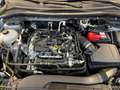 Ford Kuga Kuga 1.5 EcoBoost 150 CV 2WD Titanium Gris - thumbnail 19