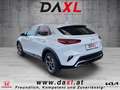 Kia XCeed Xceed 1,6 CRDI 48V Silber € 329,34 monatlich Wit - thumbnail 4