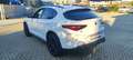 Alfa Romeo Stelvio Stelvio 2.2 Turbodiesel 210 CV AT8 Q4 B-Tech Weiß - thumbnail 7