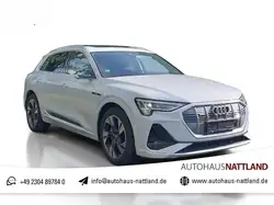 Audi e-tron 55 quattro S line Pano HuD B&O ACC Matrix