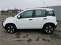 Fiat Panda CROSS CITY PLUS HYBRID 1.0 GSE TECH CARPLAY KLIMAA bijela - thumbnail 7