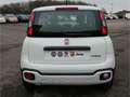 Fiat Panda CROSS CITY PLUS HYBRID 1.0 GSE TECH CARPLAY KLIMAA bijela - thumbnail 5
