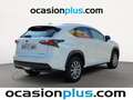 Lexus NX 300 300h Corporate 2WD Blanc - thumbnail 3