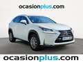 Lexus NX 300 300h Corporate 2WD Blanc - thumbnail 2