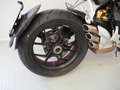 MV Agusta Rivale 800 EAS ABS Rosso - thumbnail 3