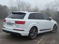 Audi Q7 3.0 V6 TDI Clean Diesel 272 Tiptronic 8 Quattro 5p Blanc - thumbnail 7
