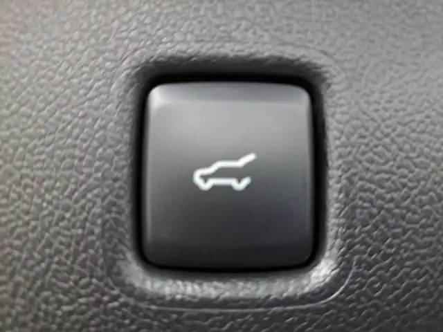 Ford Kuga view 8