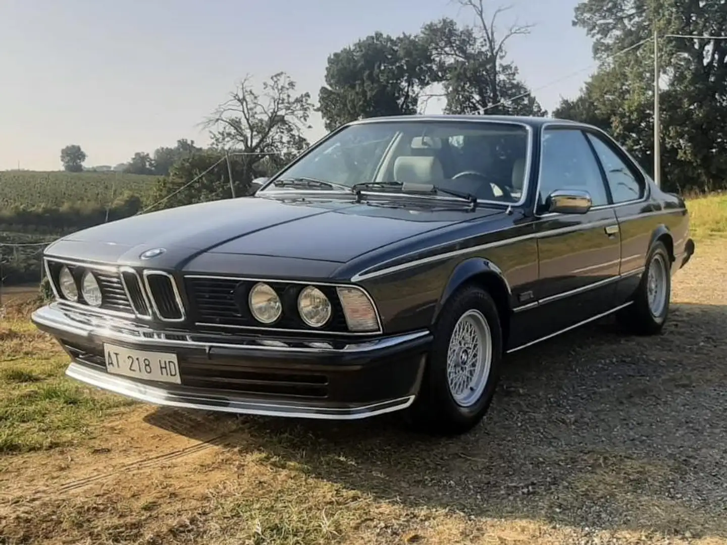 BMW 635 Coupe Grigio - 2