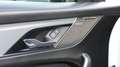 Jaguar F-Pace F-PACE+SVR+PANO+MATRIX+22"ALU+BLACK+ACC+AHK+AMBIEN Weiß - thumbnail 11
