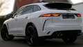 Jaguar F-Pace F-PACE+SVR+PANO+MATRIX+22"ALU+BLACK+ACC+AHK+AMBIEN Weiß - thumbnail 29
