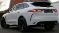 Jaguar F-Pace F-PACE+SVR+PANO+MATRIX+22"ALU+BLACK+ACC+AHK+AMBIEN Weiß - thumbnail 41