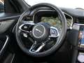 Jaguar F-Pace F-PACE+SVR+PANO+MATRIX+22"ALU+BLACK+ACC+AHK+AMBIEN Weiß - thumbnail 13