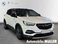 Opel Grandland 120 Jahre 1.2 Turbo Apple CarPlay Android Auto Meh Wit - thumbnail 8