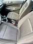 Ford EcoSport EcoSport 1.0 EcoBoost ST-Line 125 CV S&S Bianco - thumbnail 9