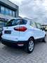 Ford EcoSport EcoSport 1.0 EcoBoost ST-Line 125 CV S&S Bianco - thumbnail 5