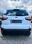 Ford EcoSport EcoSport 1.0 EcoBoost ST-Line 125 CV S&S Bianco - thumbnail 6