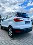 Ford EcoSport EcoSport 1.0 EcoBoost ST-Line 125 CV S&S Bianco - thumbnail 7