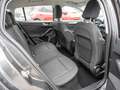 Ford Focus C & C Turnier 1.0L KAMERA NAVI ACC LED Grau - thumbnail 4