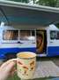 Renault Trafic Trafic camper Blauw - thumbnail 3