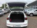 Volkswagen Golf VIII 1.5 TSI LIFE *LED *ACC *VIRTUAL *NAVI *SHZ * Weiß - thumbnail 15