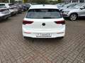 Volkswagen Golf VIII 1.5 TSI LIFE *LED *ACC *VIRTUAL *NAVI *SHZ * Weiß - thumbnail 16