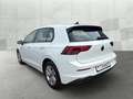 Volkswagen Golf VIII 1.5 TSI LIFE *LED *ACC *VIRTUAL *NAVI *SHZ * Weiß - thumbnail 5