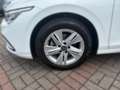 Volkswagen Golf VIII 1.5 TSI LIFE *LED *ACC *VIRTUAL *NAVI *SHZ * Weiß - thumbnail 7