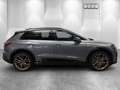 Audi Q4 e-tron 40 MATRIX RFK HUD INT S LINE OPT SCHW Grau - thumbnail 13