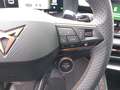 CUPRA Terramar 1.5 eTSI DSG Grau - thumbnail 15