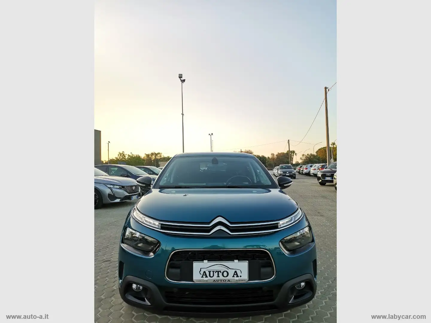 Citroen C4 Cactus BlueHDi 100 S&S Shine Blu/Azzurro - 2