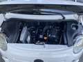 Bellier B8 Sport - thumbnail 7