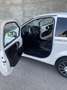 Bellier B8 Sport - thumbnail 9
